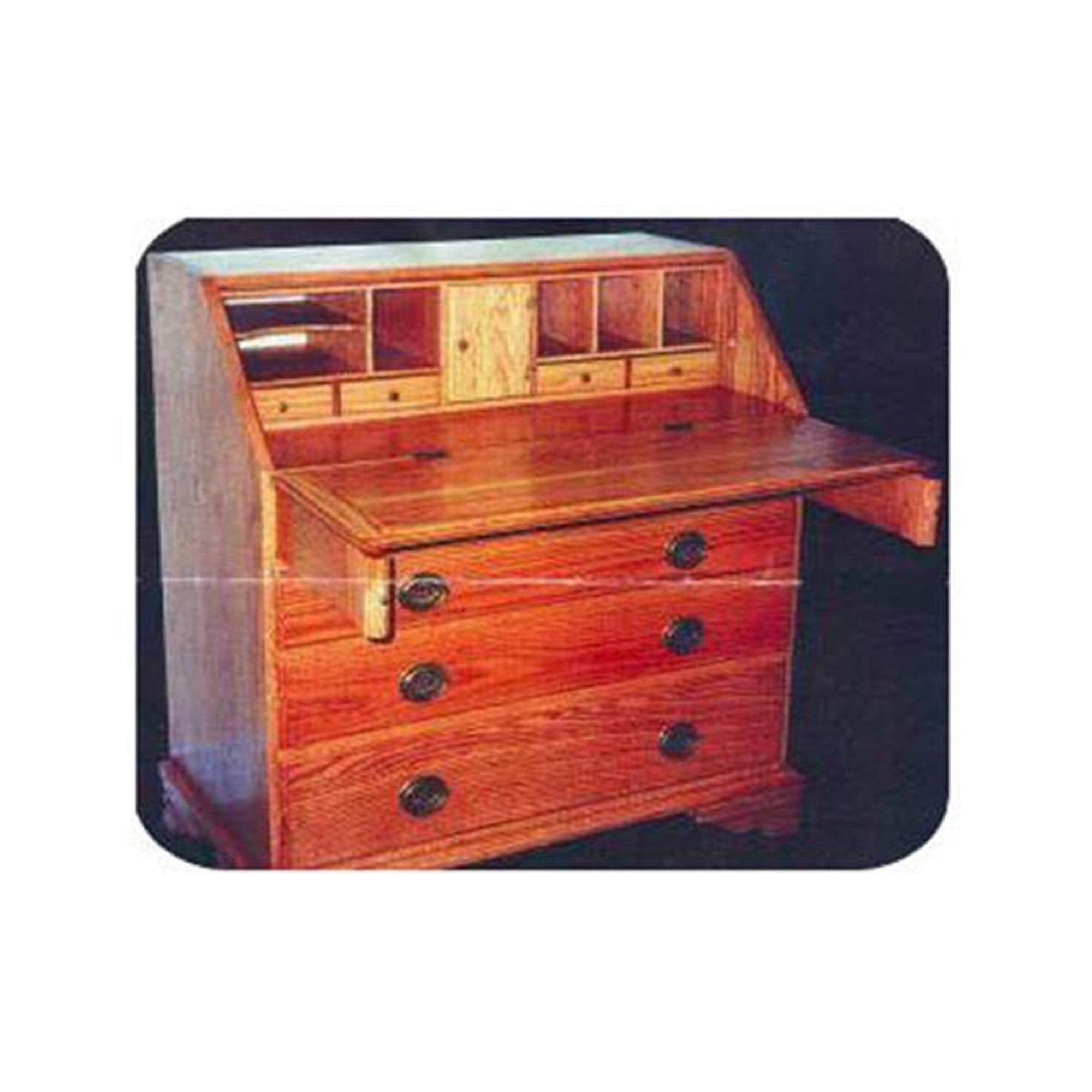 Woodworking Project Paper Plan to Build Drop Front Desk alt 0