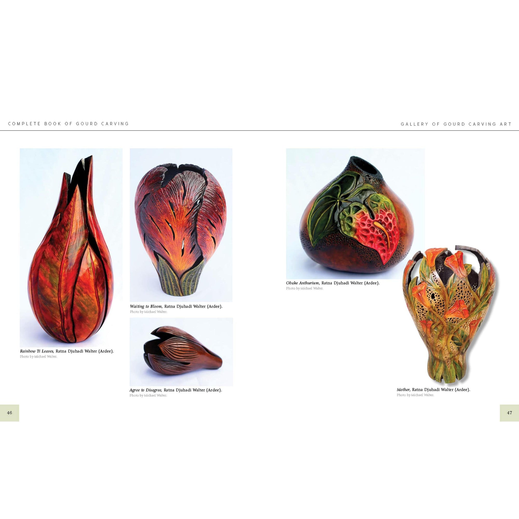 Complete Book of Gourd Carving, Revised and Expanded alt 0