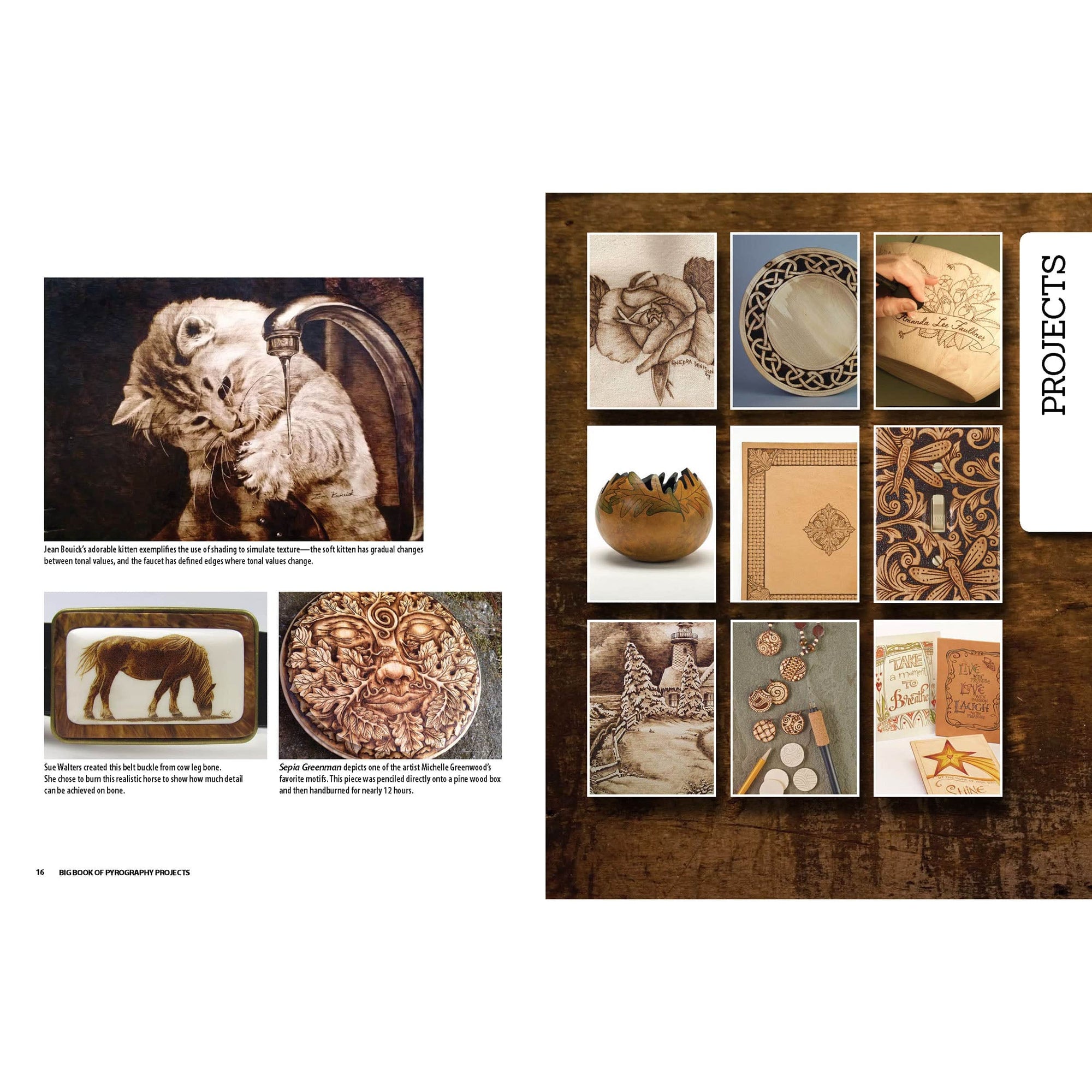 Big Book of Pyrography Projects alt 0