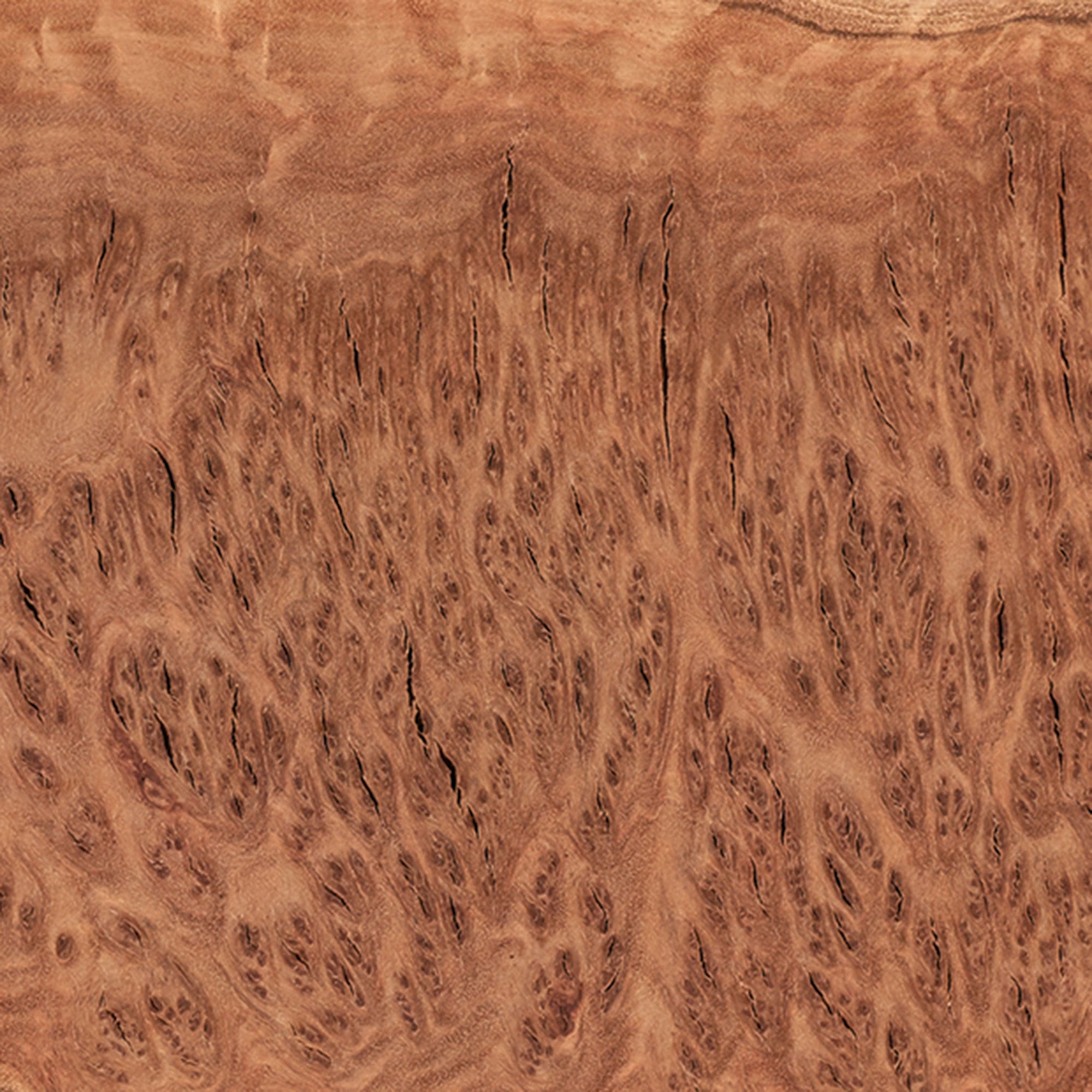 Australian Red Coolibah Burl Turning Blank - 2 kg - 4 kg alt 0