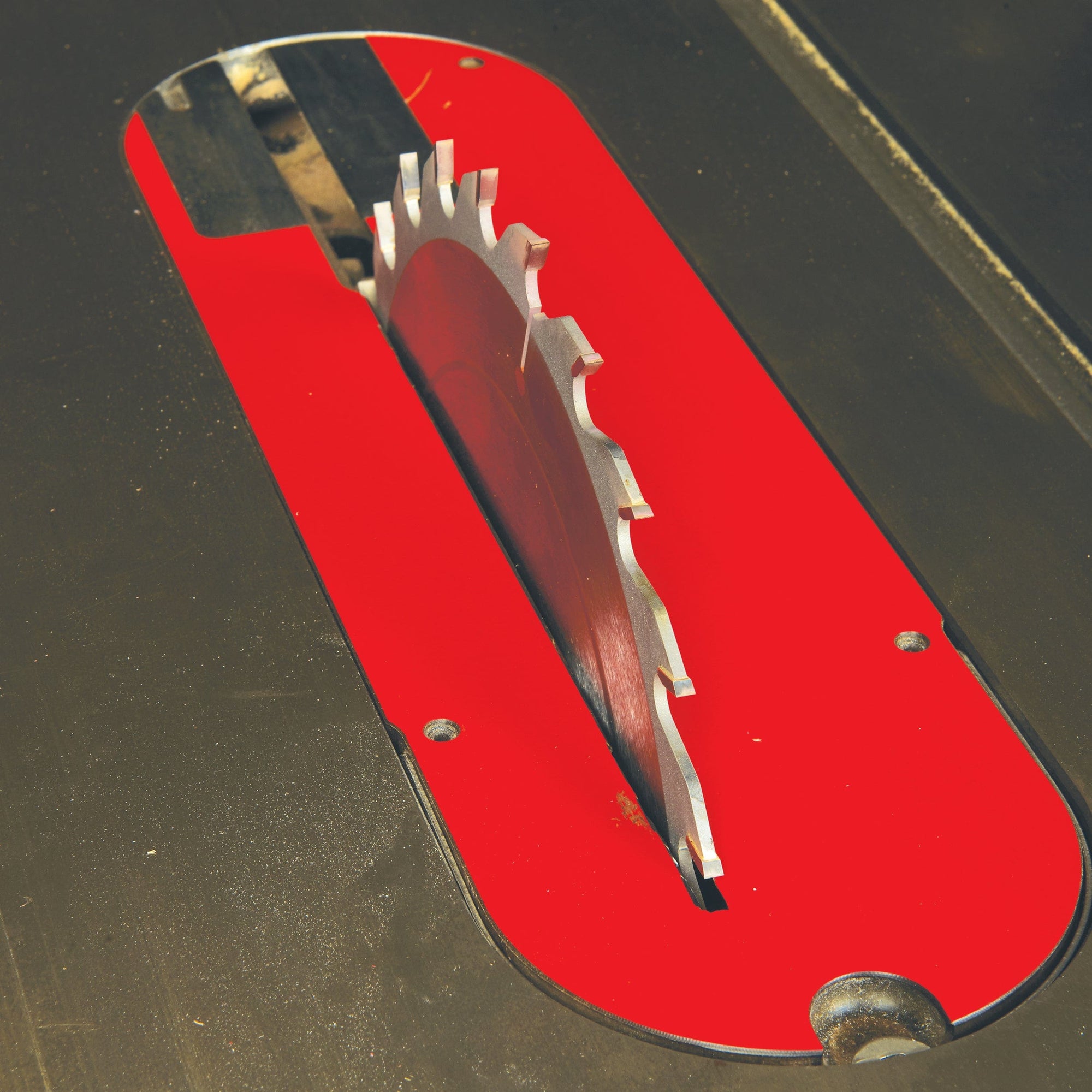 Heavy-Duty Rip Saw Blade - 10" x 5/8" Bore x 24T - FTG alt 0