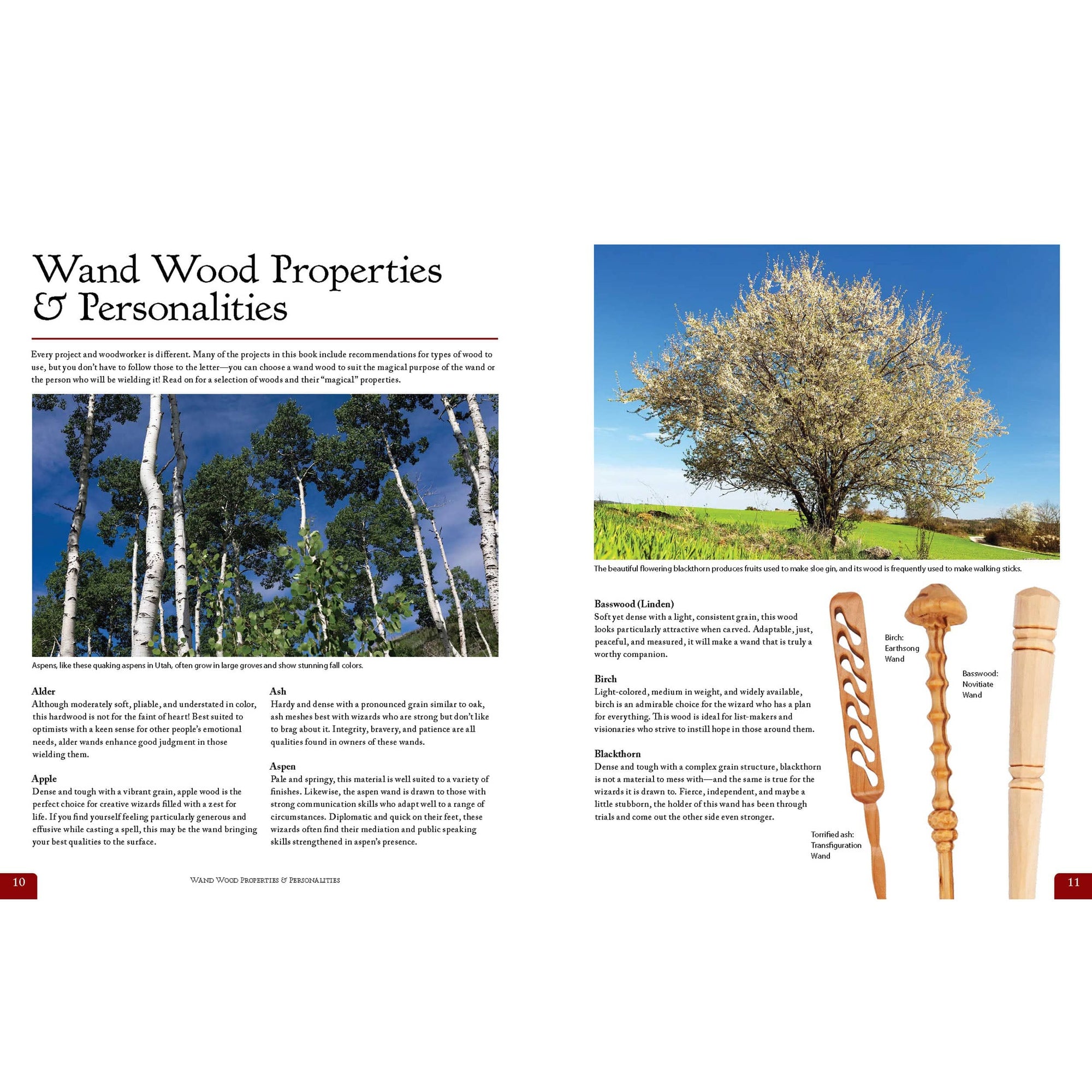 Compendium of Wooden Wand Making Techniques alt 0