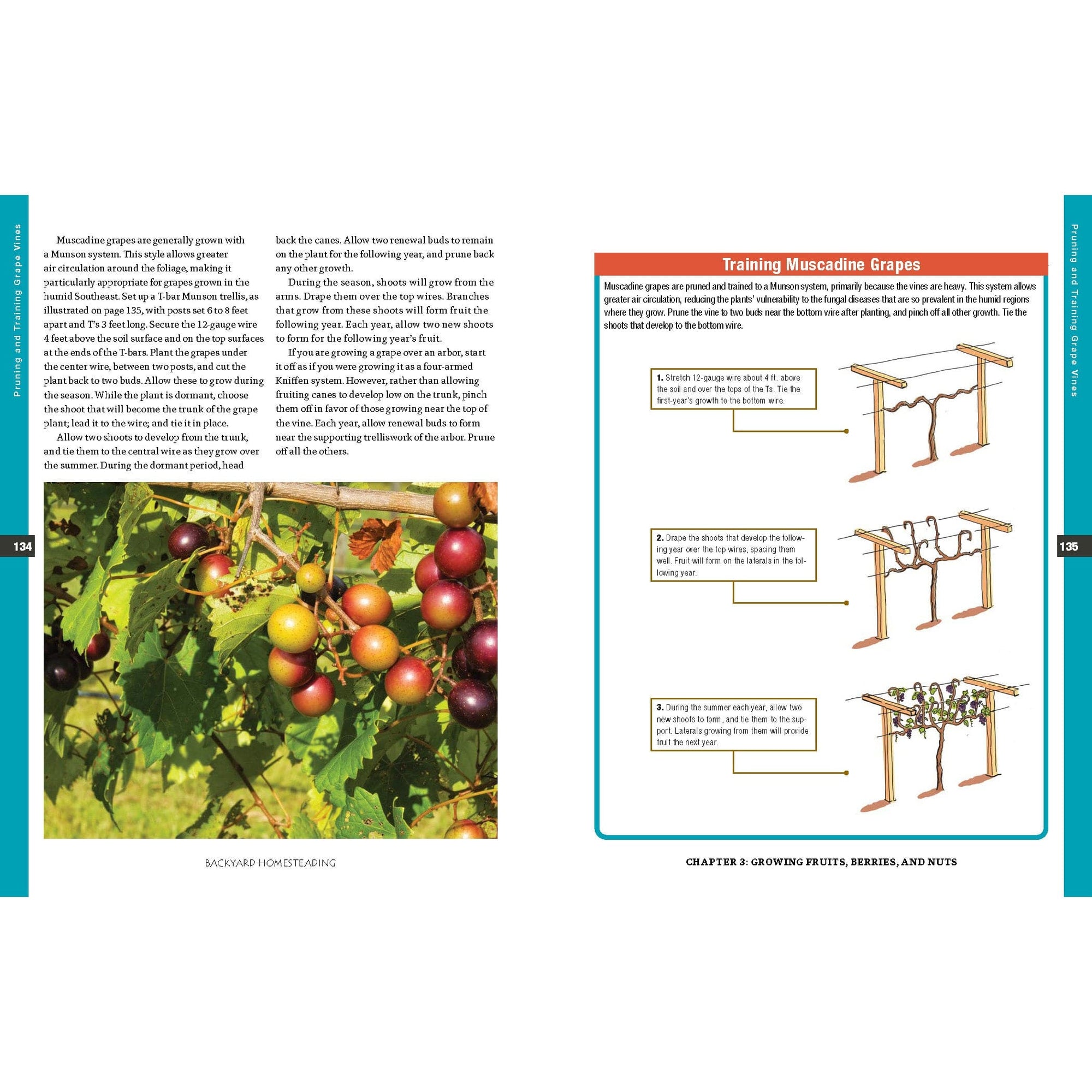 Backyard Homesteading, Second Revised Edition alt 0