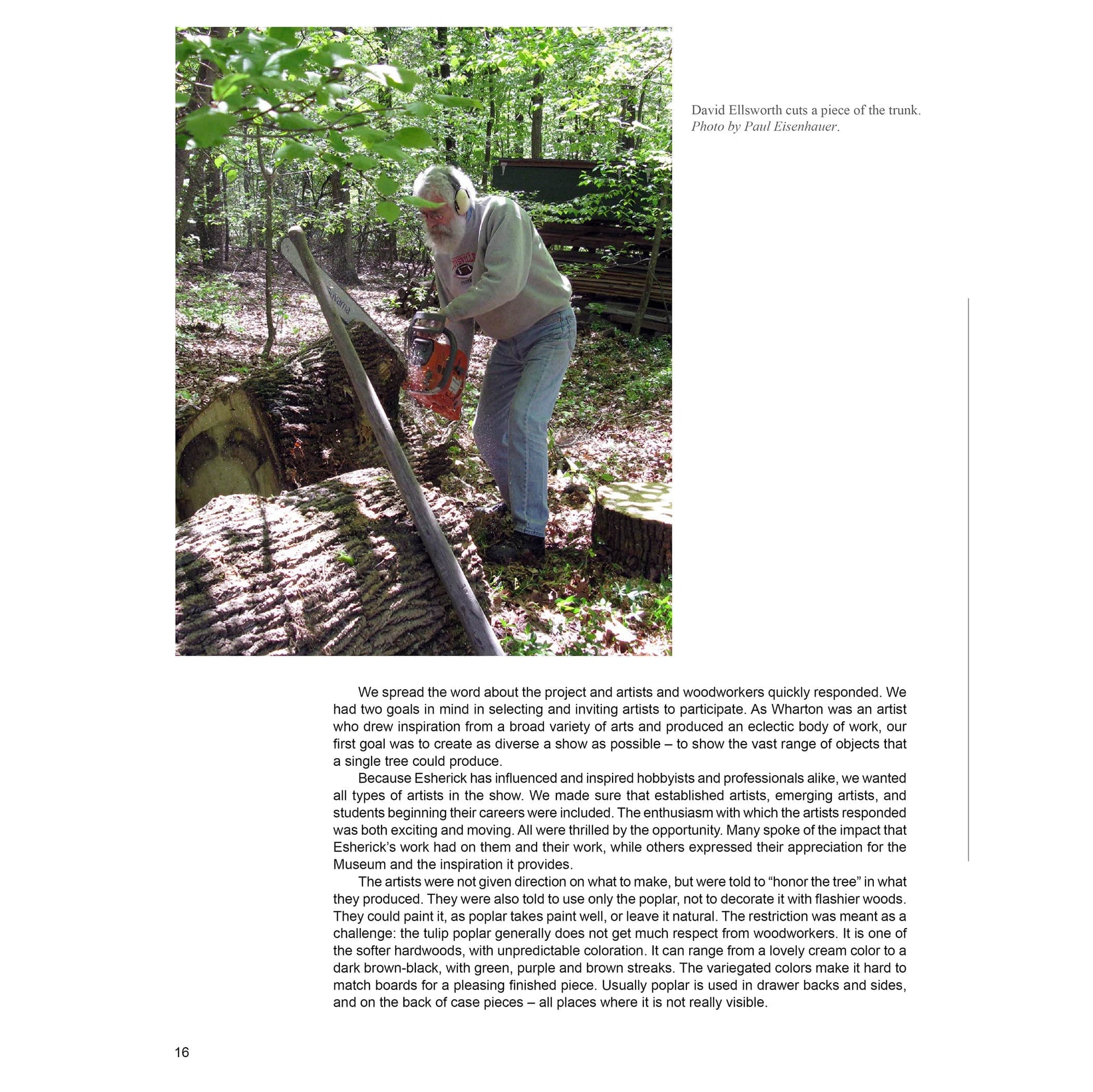 Poplar Culture: The Celebration of Esherick's Tree alt 0