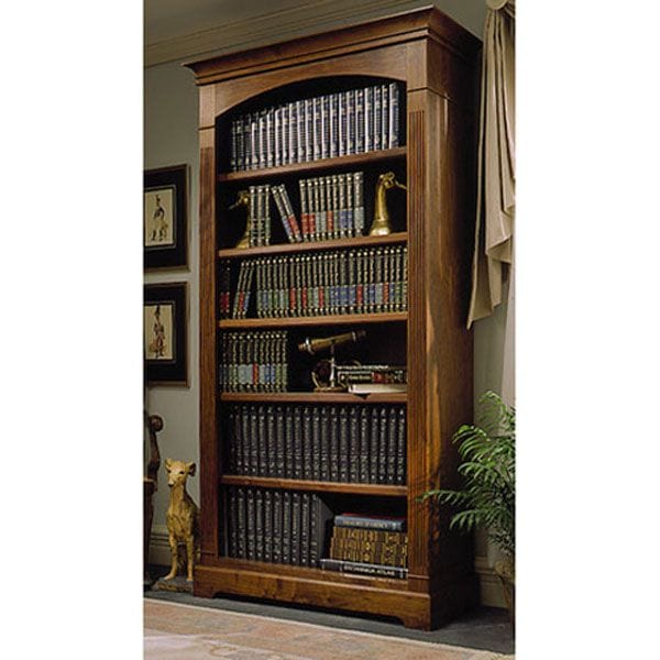 Woodworking Project Paper Plan to Build Towering Tomes Bookcase alt 0