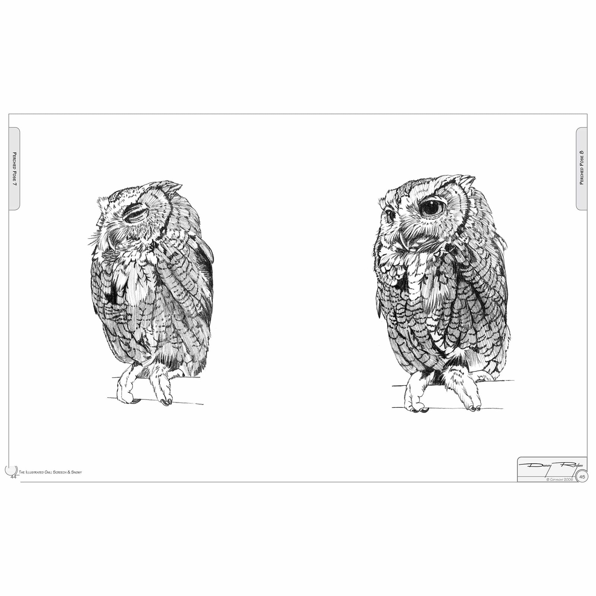 Illustrated Owl - Screech & Snowy: the Ultimate Reference for Bird Lovers, Woodcarvers, and Artists alt 0