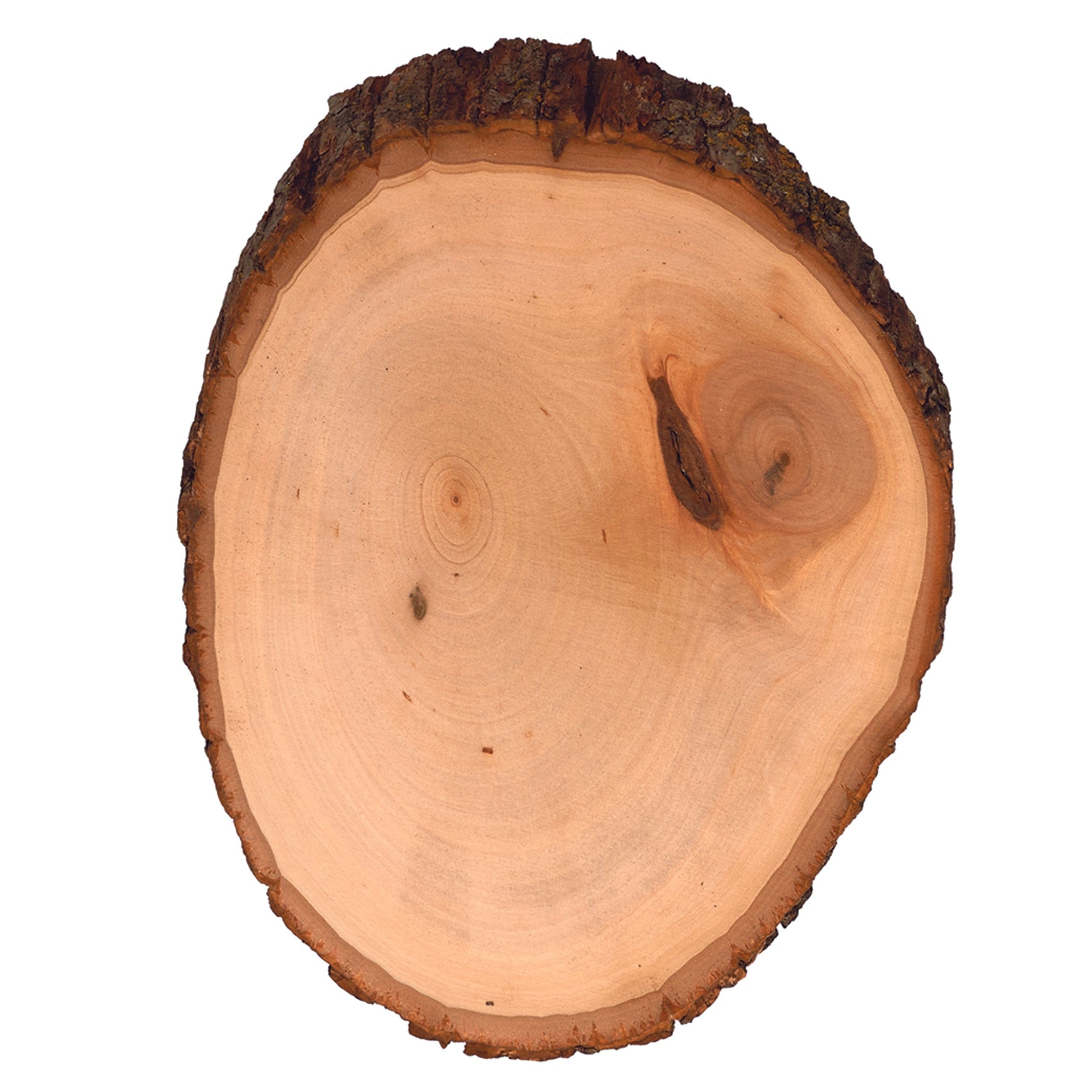 Basswood Country Rounds for Wood Burning, Hot Stamping & Carving - Medium alt 7