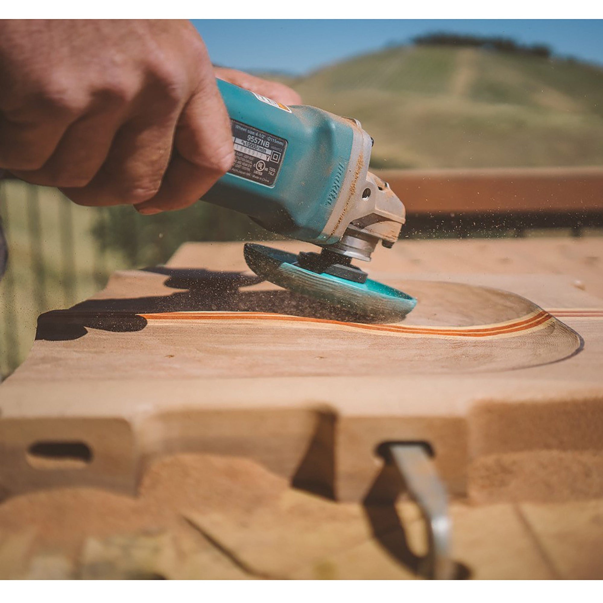 Extreme Shaping Dish - 4-1/2" Diameter - Very Coarse alt 0