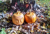 Two carved wooden pumpkins with detailed faces and stems, placed outdoors on fallen leaves near a tree trunk.