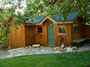Small wooden workshop shed with green door and windows, surrounded by stone pathway and apple tree branches.