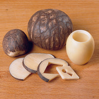 Tagua Nut Pack - 5 Piece alt 0