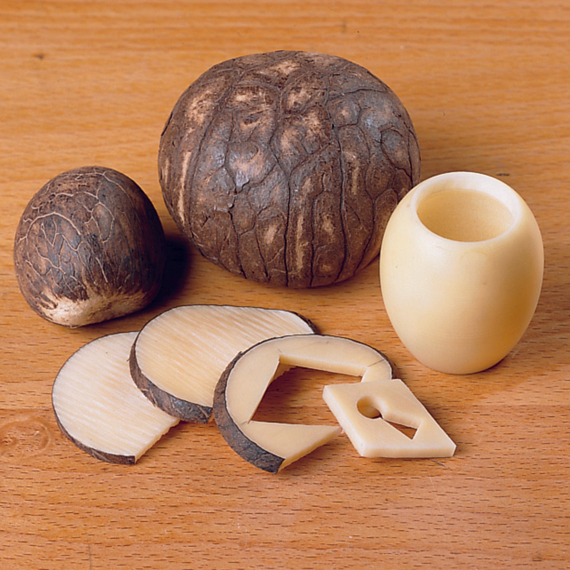 Tagua Nut Pack - 5 Piece alt 0