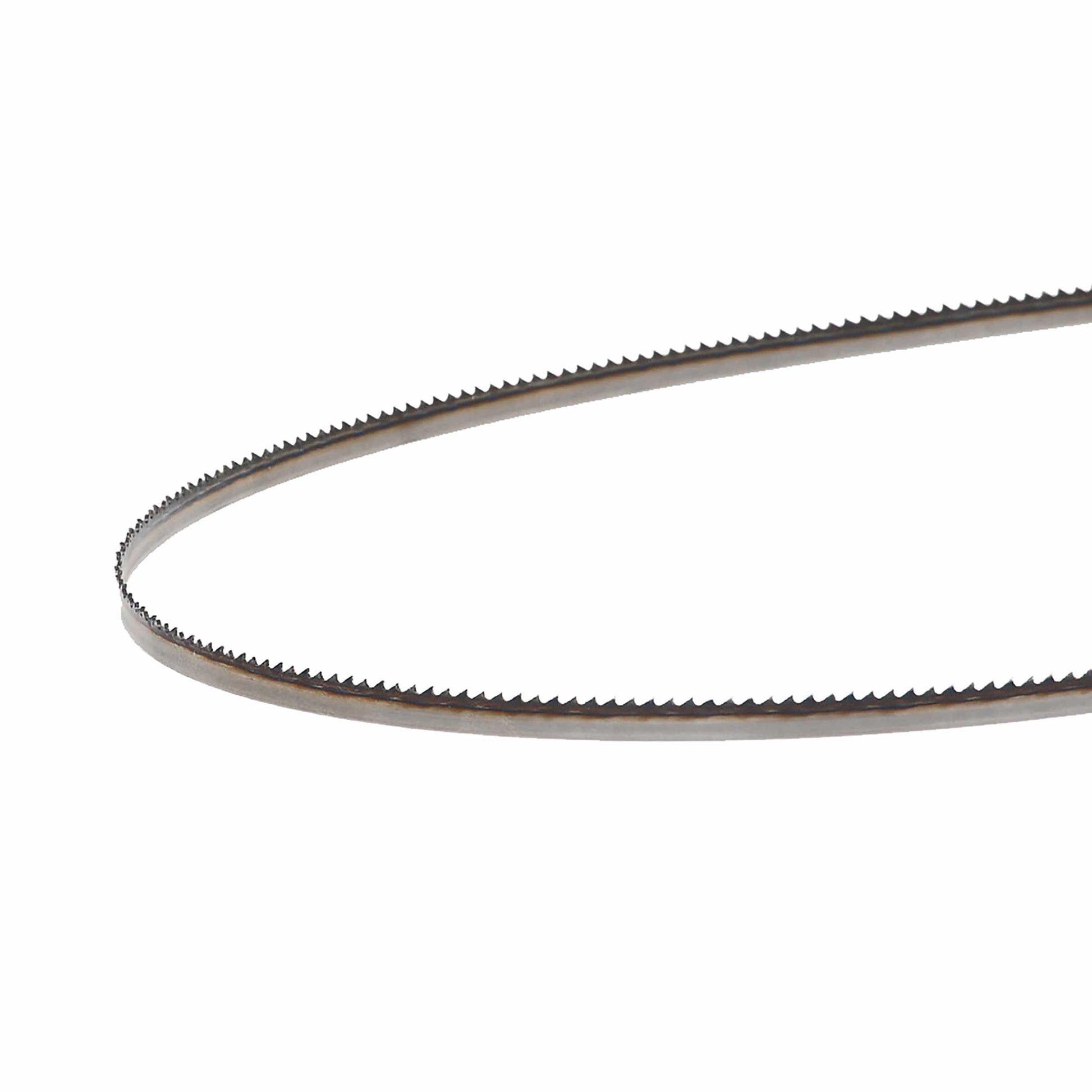 Bandsaw Blade - 105" x 1/4" x 10 TPI - Raker alt 0