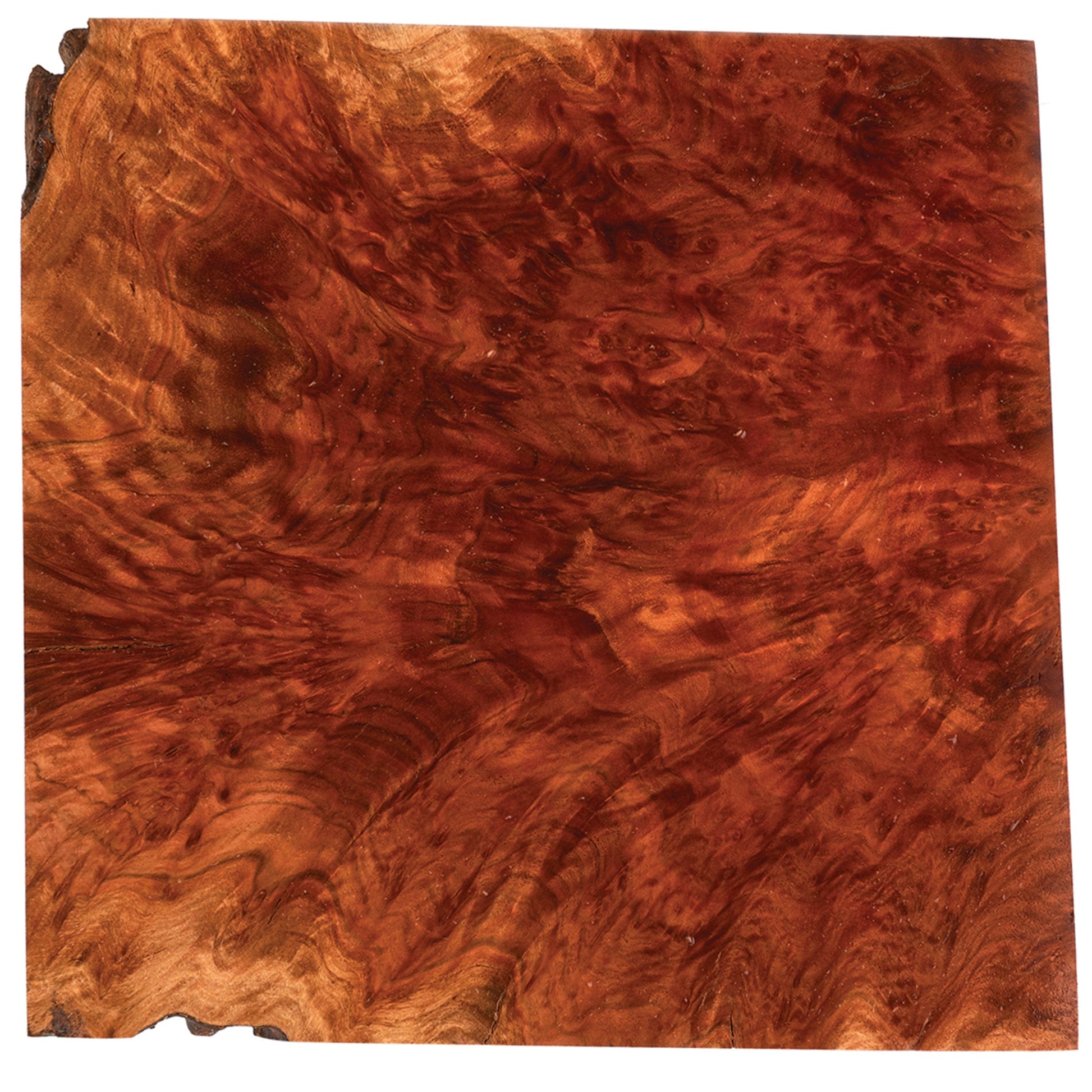Australian Red Mallee Burl Slice - 2 kg - 4 kg alt 0
