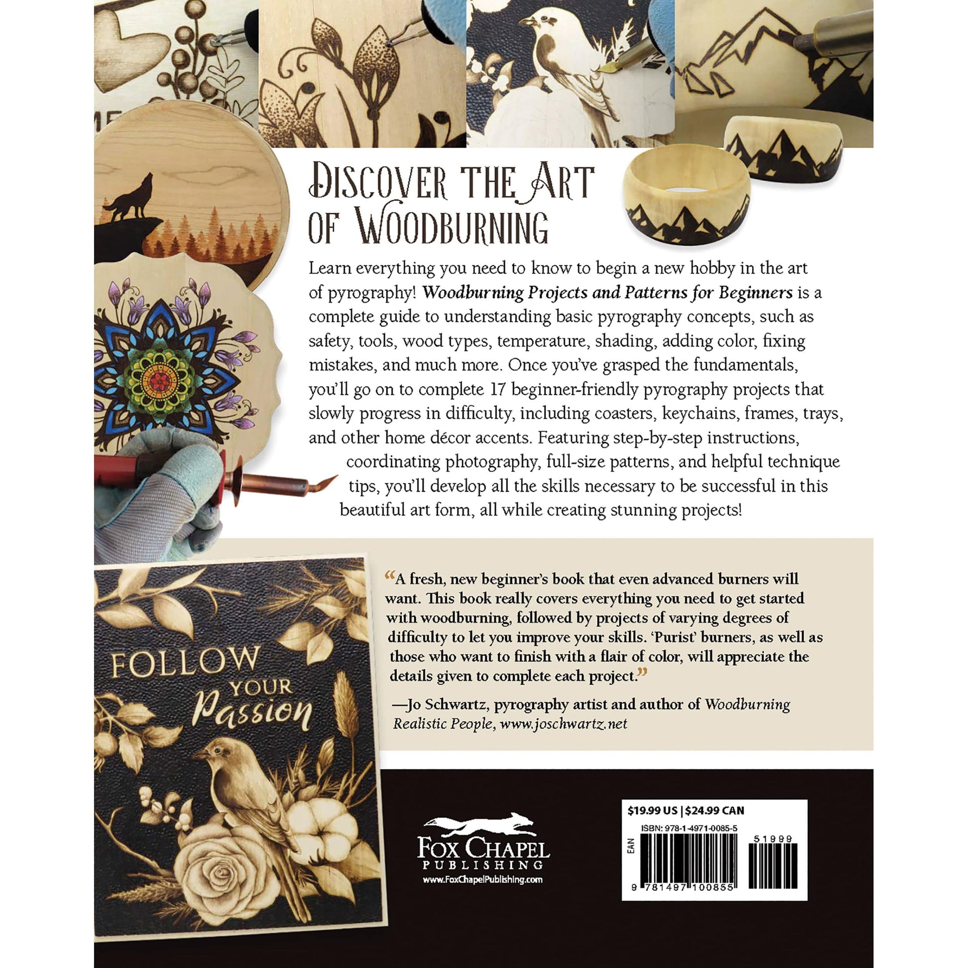 Woodburning Projects and Patterns for Beginners alt 0