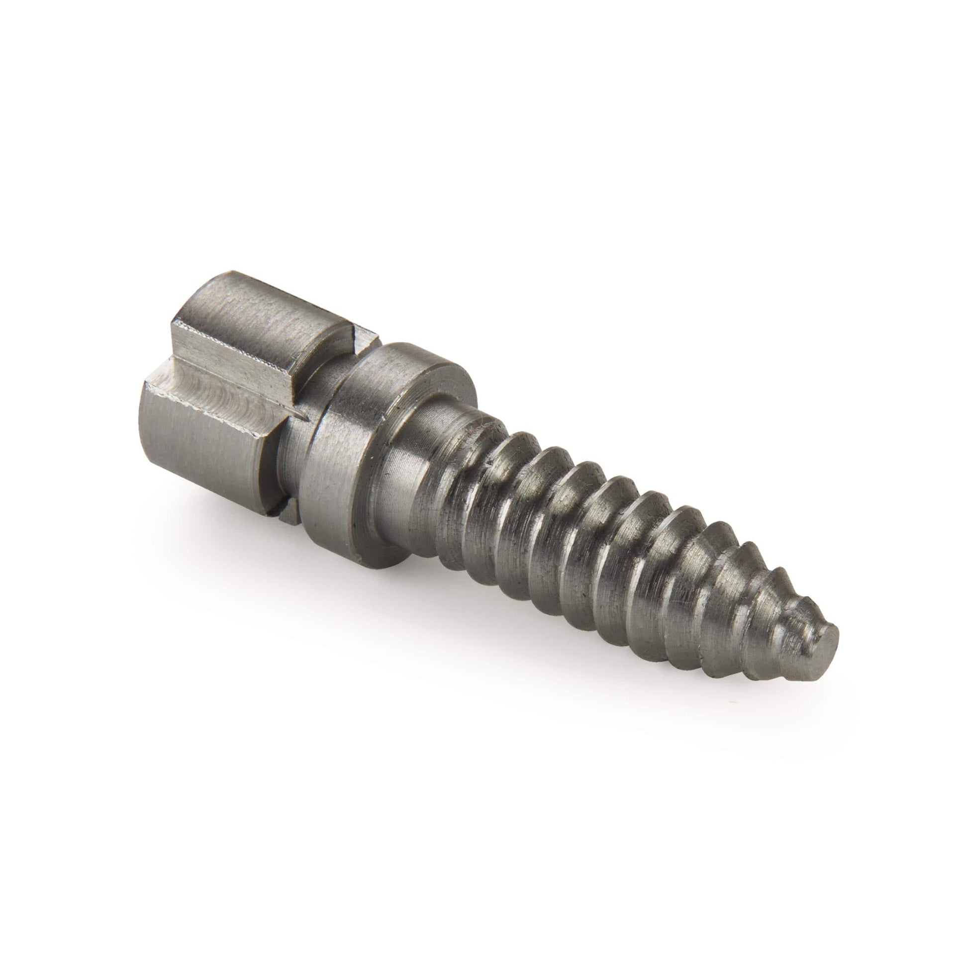 Woodworm Screw alt 0