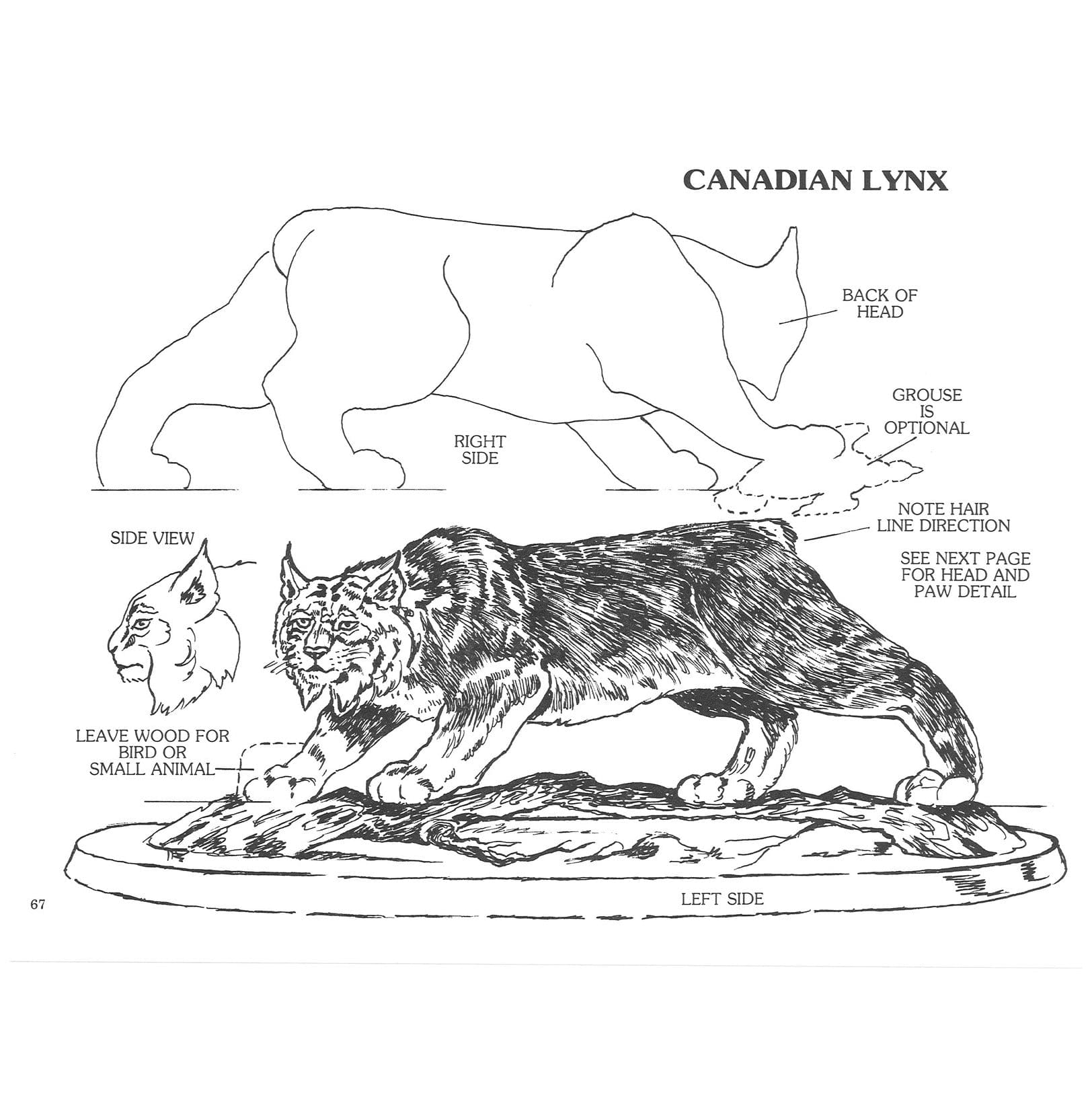 Nature in Wood Book Three alt 0