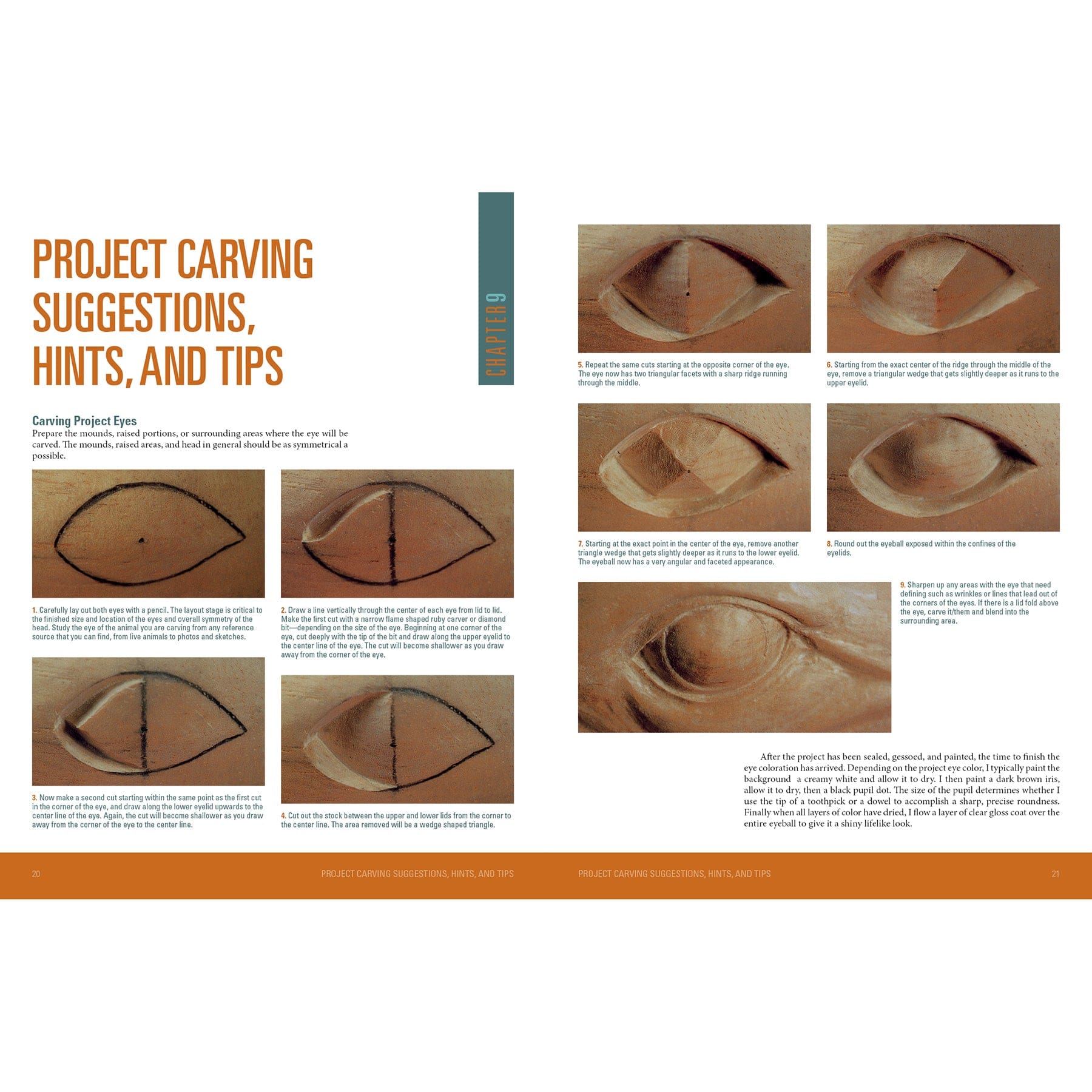 Carving Marine Mammals alt 0