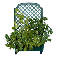 Calypso Planter Trellis Green alt 0