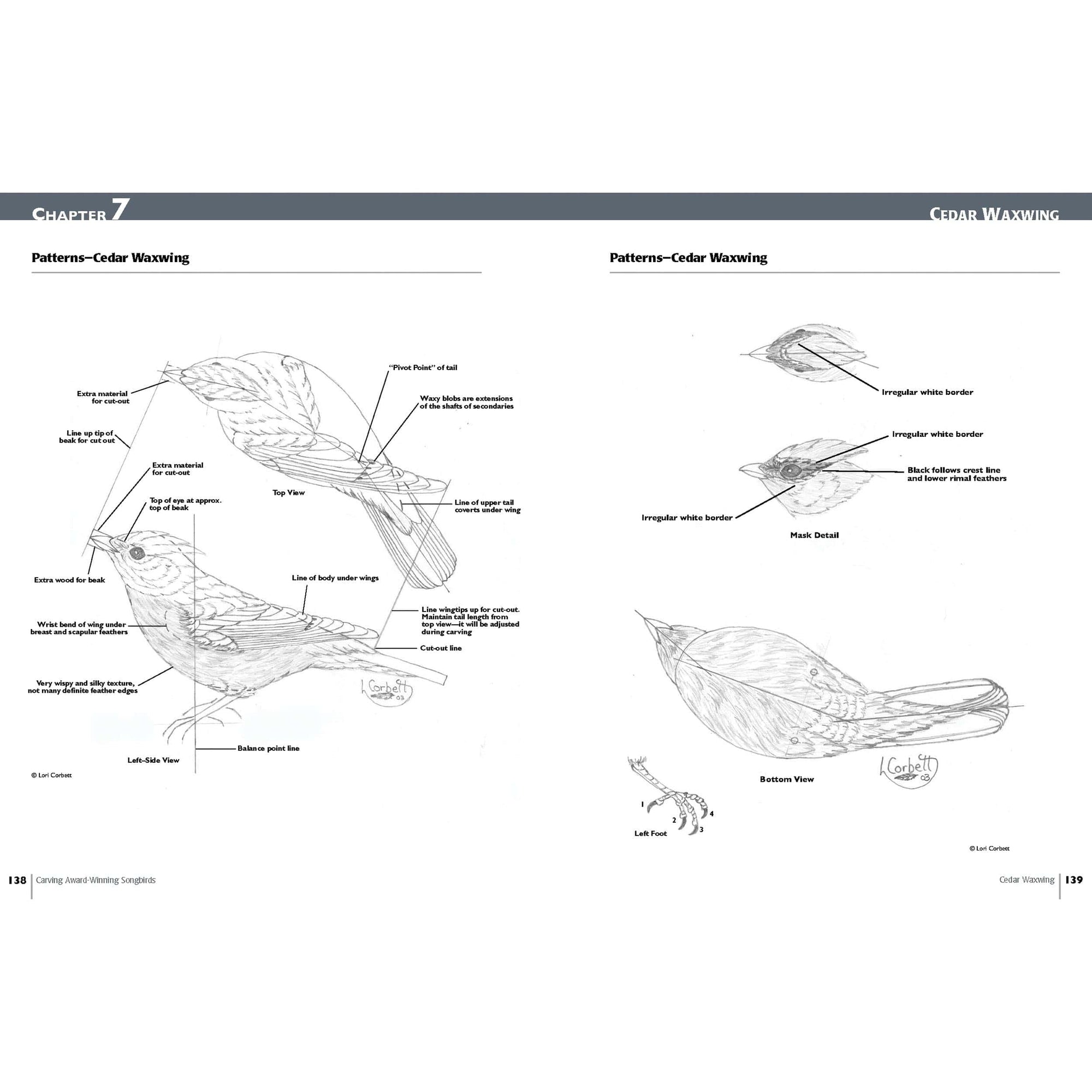 Carving Award-Winning Songbirds alt 0
