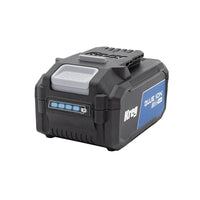 Blue Ion 4.0 Ah Battery Pack - 20V