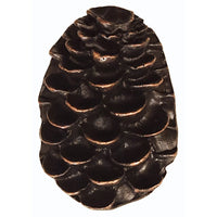 Pine Cone Pull, Oil Rubbed Bronze, Model 325ORB alt 0