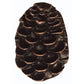 Pine Cone Pull, Oil Rubbed Bronze, Model 325ORB alt 0