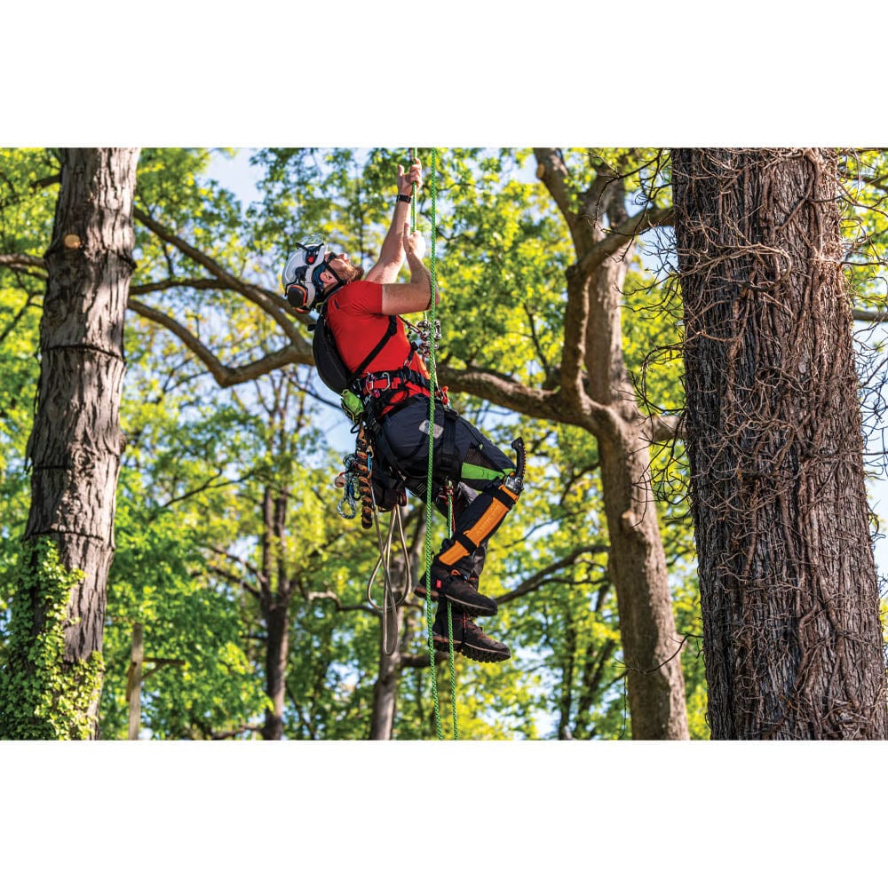 SUGOI 420mm, Extra Large Teeth