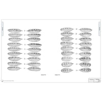 Illustrated Owl - Screech & Snowy: the Ultimate Reference for Bird Lovers, Woodcarvers, and Artists alt 0