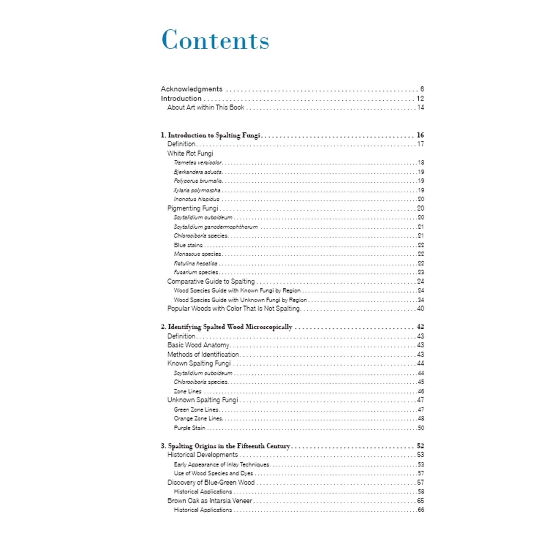 Spalted Wood: The History, Science, and Art of a Unique Material alt 0