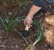 Collection of Outside the Shop