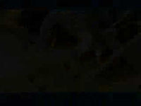 Domino Hand Rail Fence alt 999