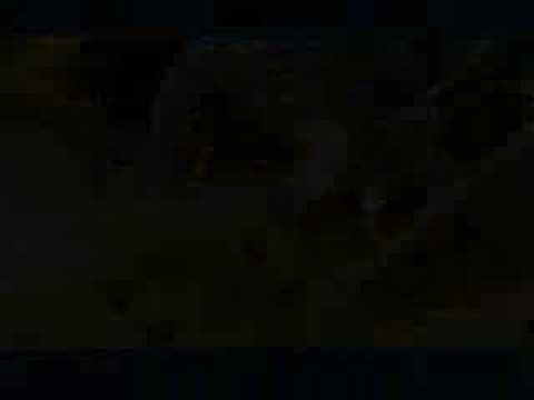 Support bracket alt 999